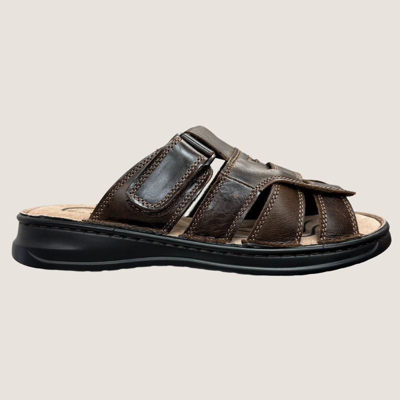 Woodlands Hoyt Slide