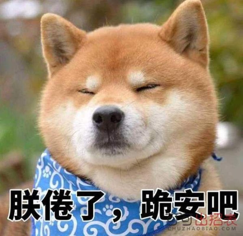 Camping Sleeping Pad - 79 X 28 in Self Inflating Camping Mattress Pad with Pillow & Built-In Pump ,Durable Waterproof Sleeping Pads for Tent Backpacking Hiking Outdoor Traveling